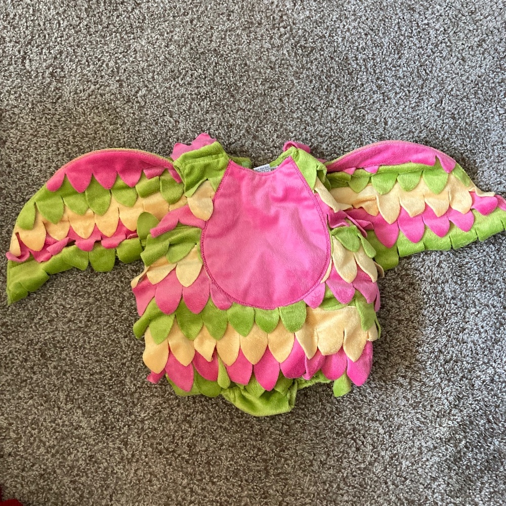 Baby girls Princess Paradise dragon costume size 6-12 months